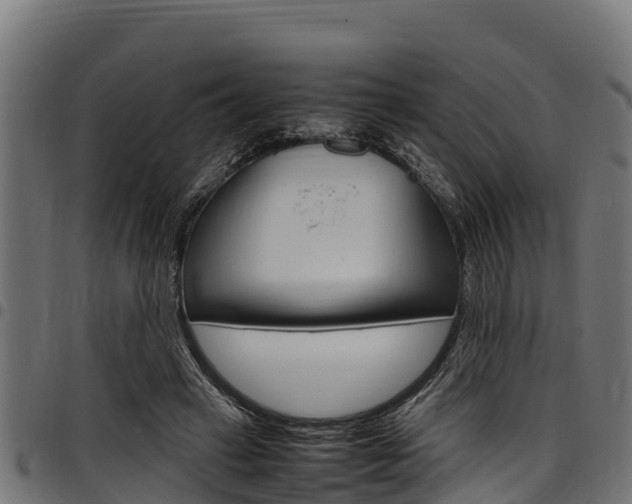 X0000098020449200803280757