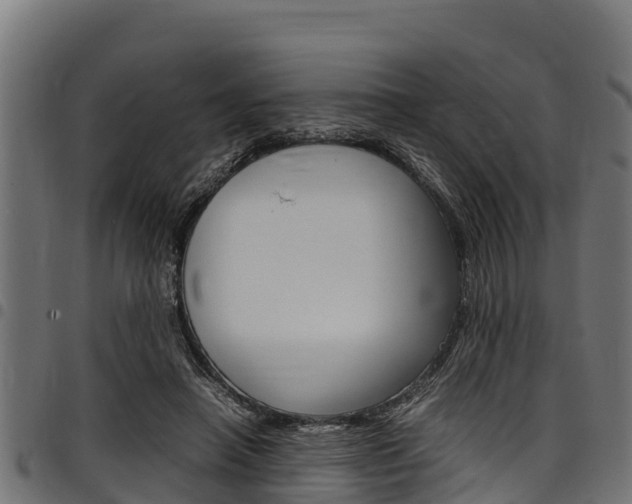 X0000098020450200803280757