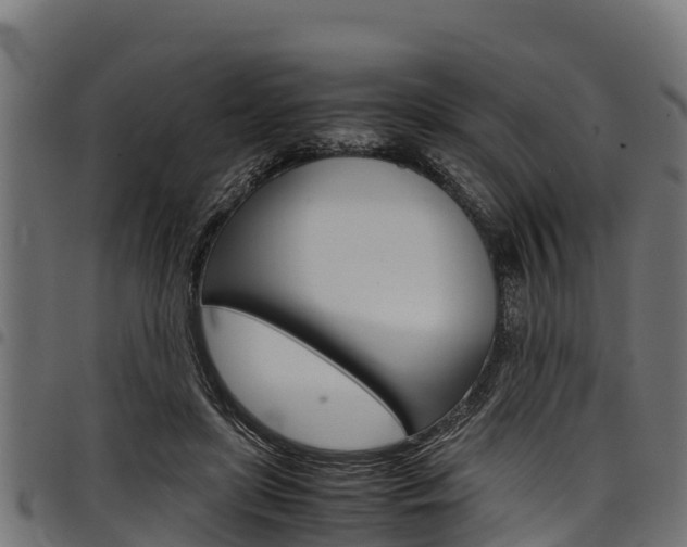 X0000098020451200803280757