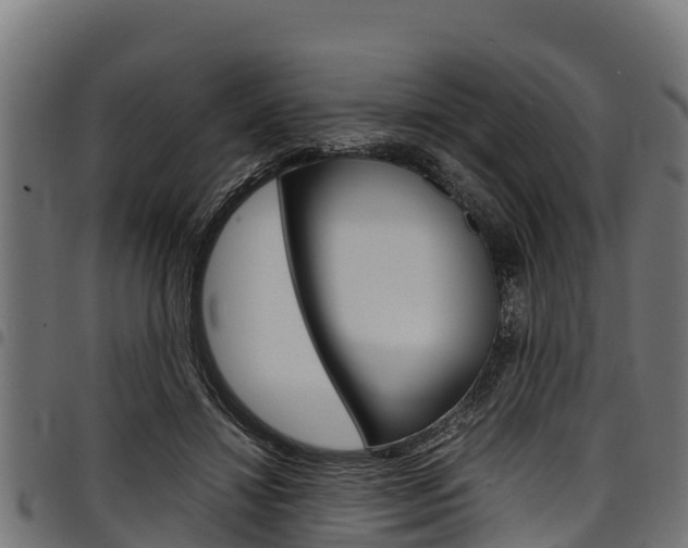 X0000098020452200803280757