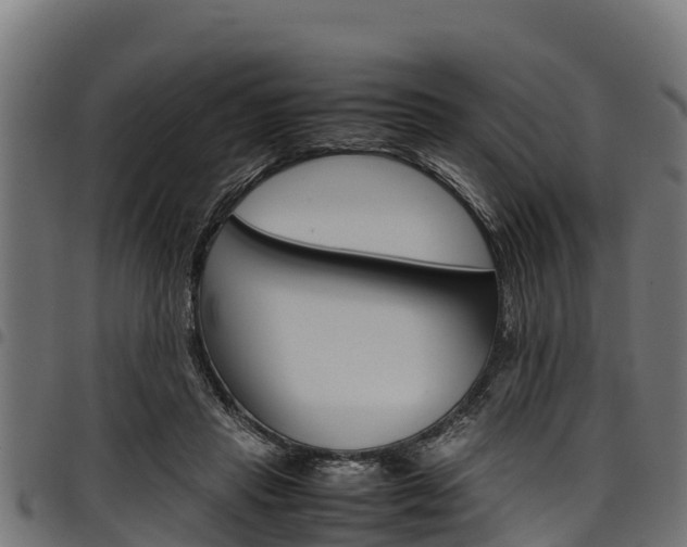 X0000098020453200803280757