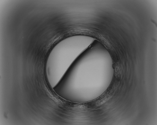 X0000098020454200803280757