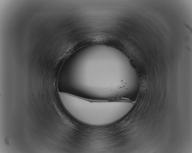 X0000098020456200803280757