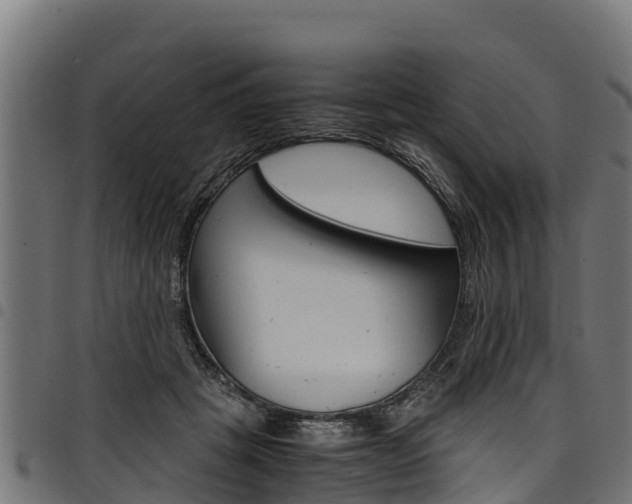 X0000098020457200803280757