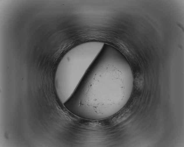 X0000098020458200803280757