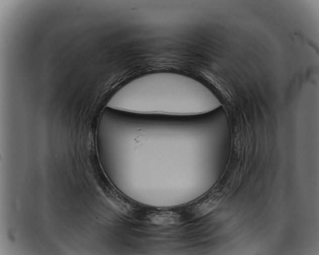 X0000098020459200803280757