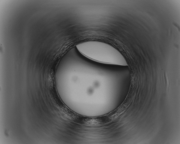 X0000098020460200803280757