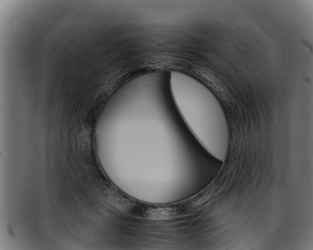 X0000098020461200803280757