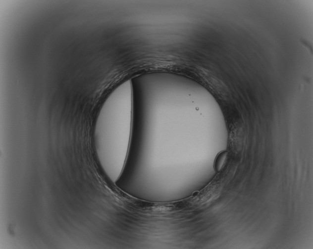 X0000098020462200803280757