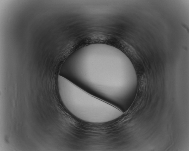 X0000098020463200803280757