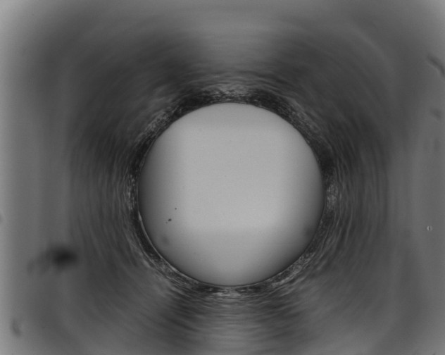 X0000098020464200803280757
