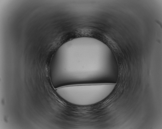 X0000098020465200803280757