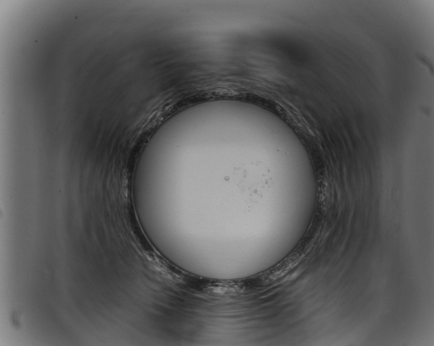 X0000098020466200803280757