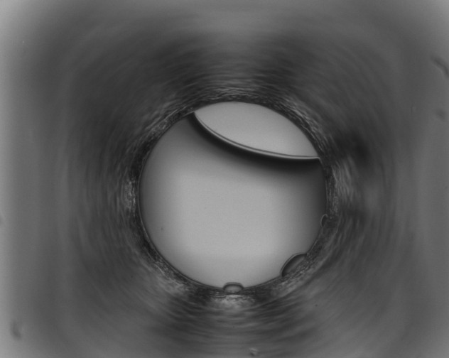 X0000098020467200803280757