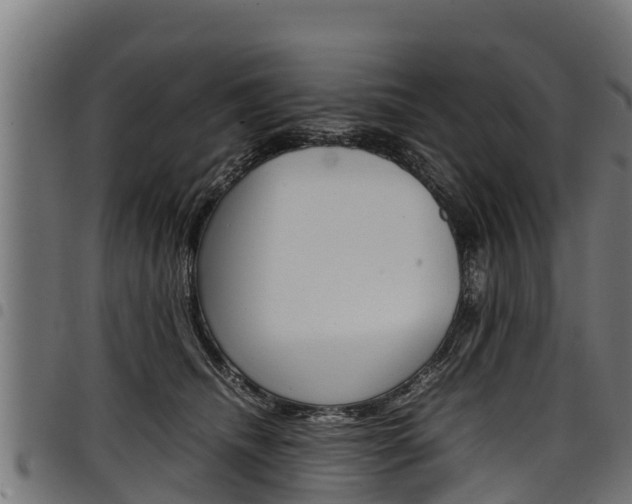 X0000098020468200803280757