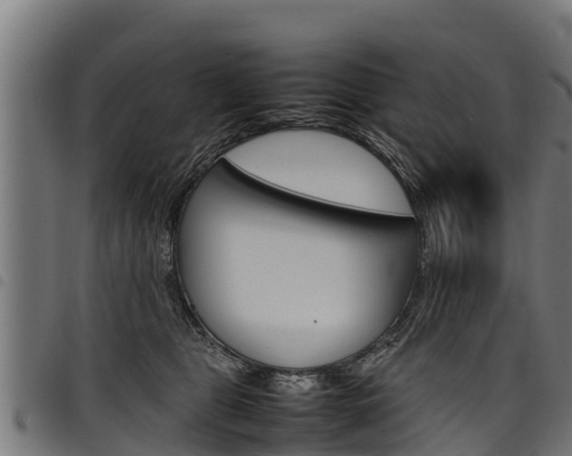 X0000098020469200803280757