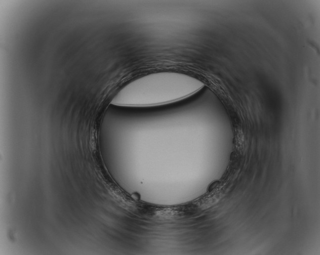 X0000098020470200803280757