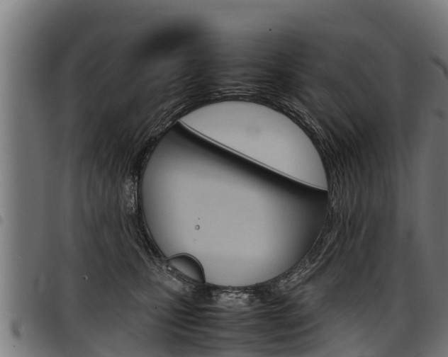 X0000098020471200803280757