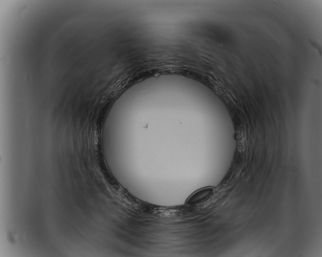 X0000098020472200803280757
