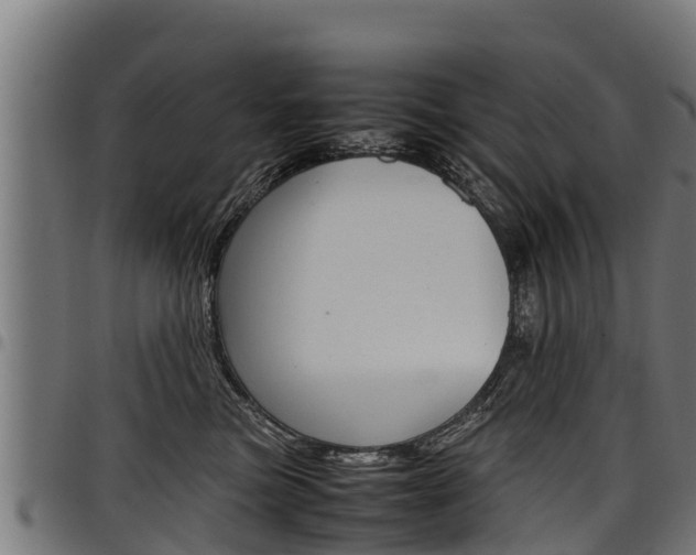 X0000098020473200803280757