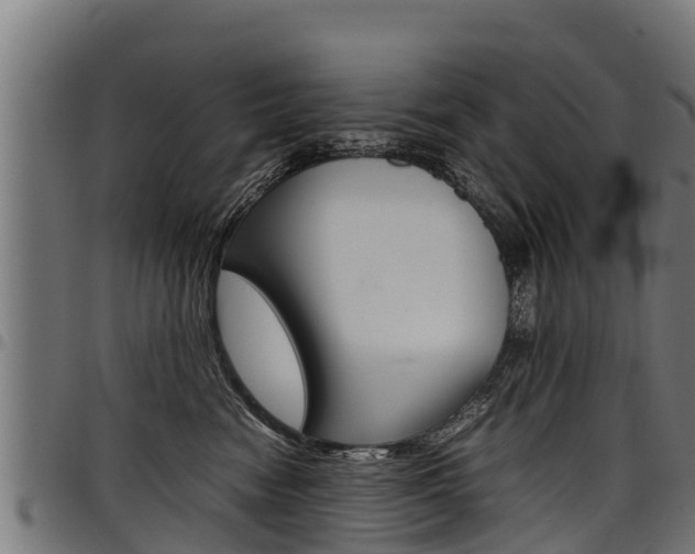 X0000098020474200803280757