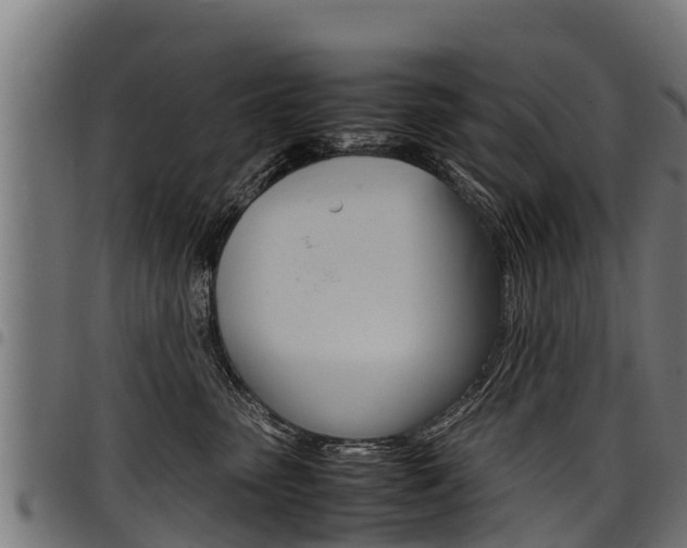 X0000098020475200803280757