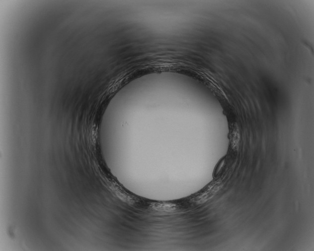 X0000098020476200803280757