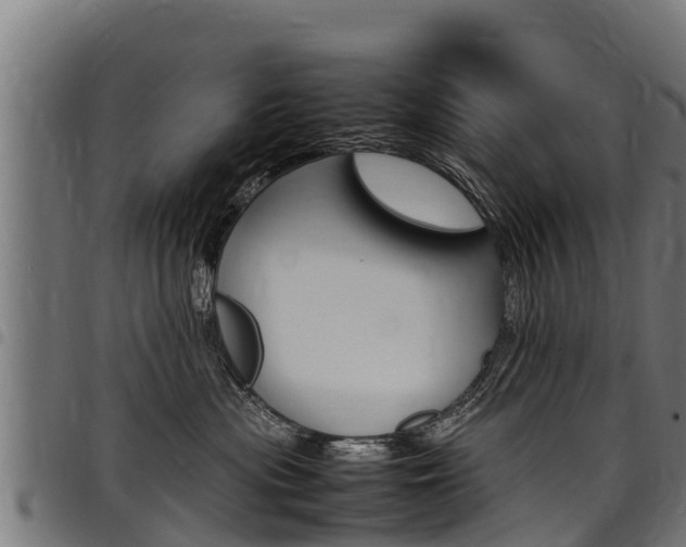 X0000098020477200803280757