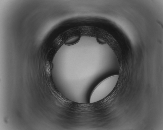 X0000098020479200803280757