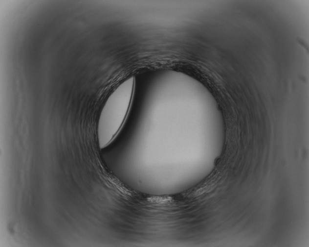 X0000098020480200803280757
