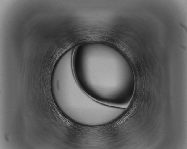X0000098020481200803280757