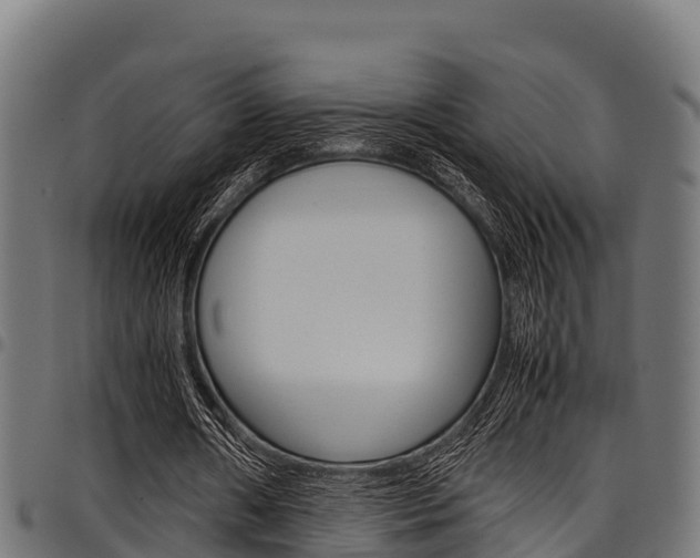 X0000098020482200803280757