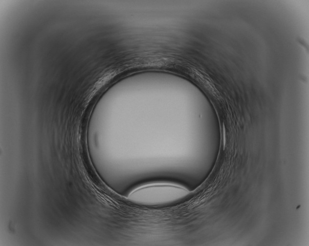 X0000098020483200803280756