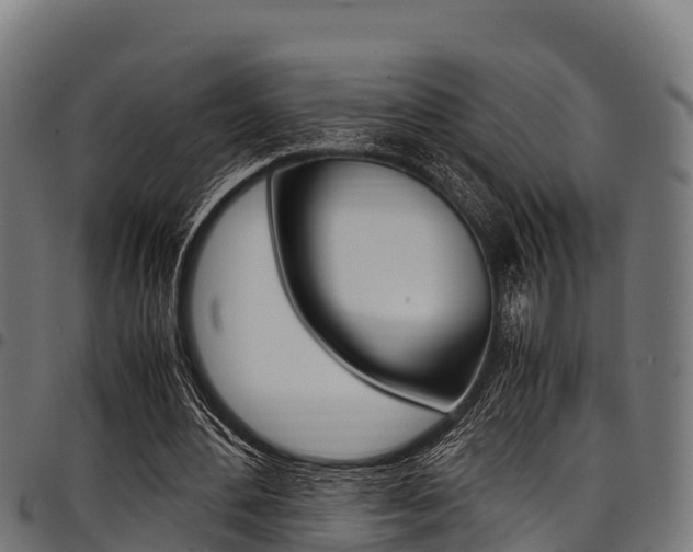 X0000098020484200803280756