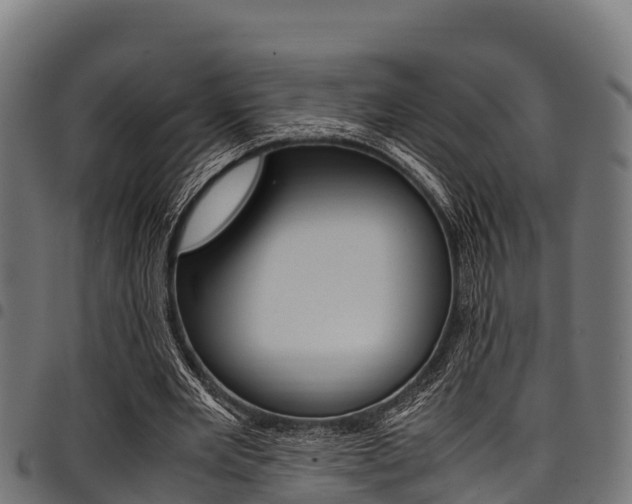 X0000098020485200803280756