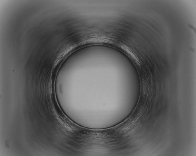 X0000098020486200803280756