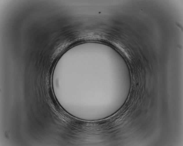 X0000098020487200803280756