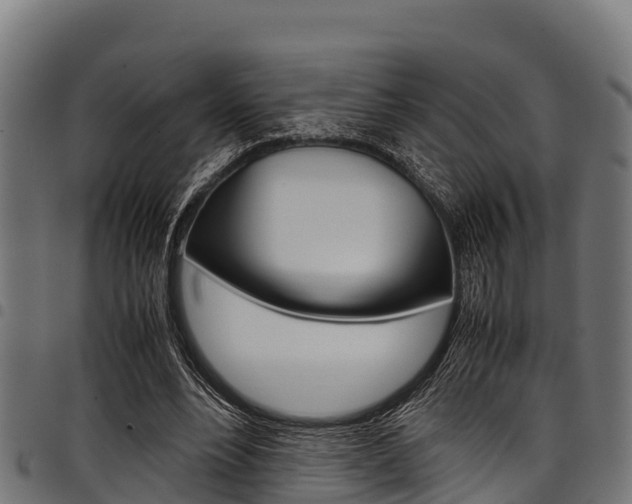 X0000098020488200803280756