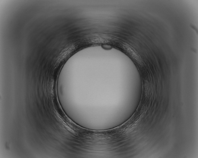 X0000098020490200803280756