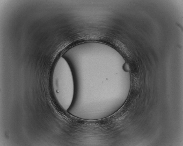 X0000098020491200803280756
