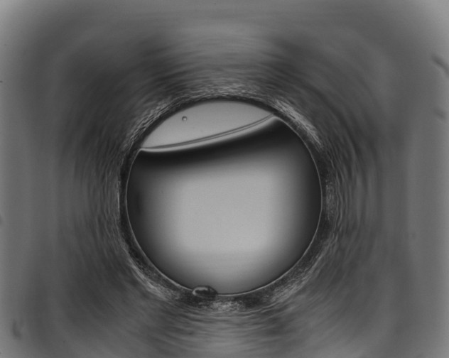 X0000098020493200803280756