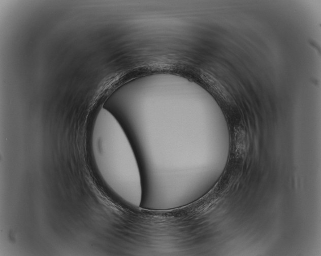 X0000098020494200803280756