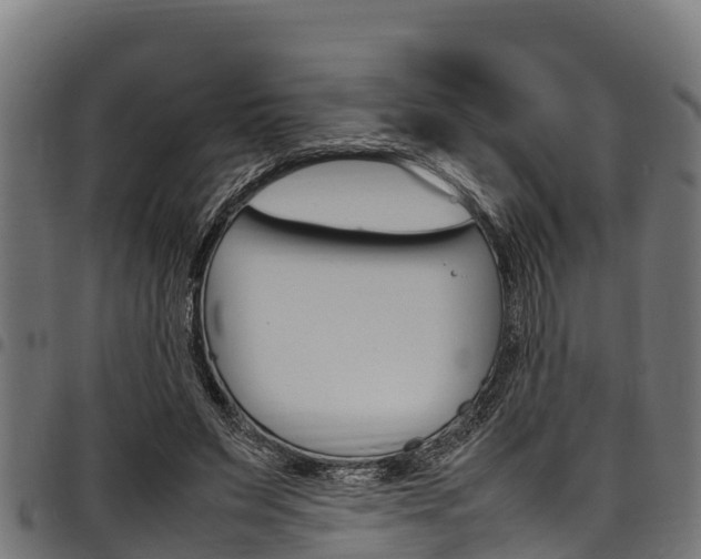 X0000098020495200803280756