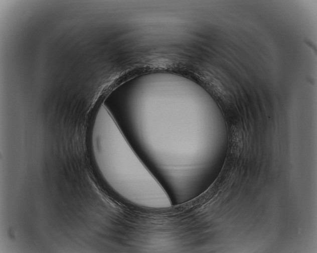 X0000098020496200803280756