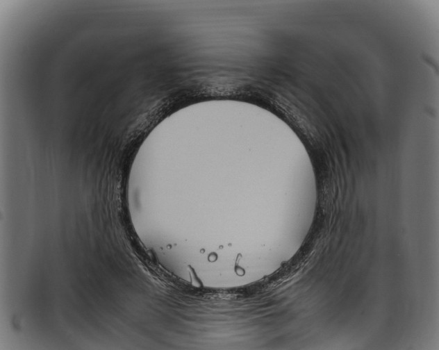 X0000098020497200803280756