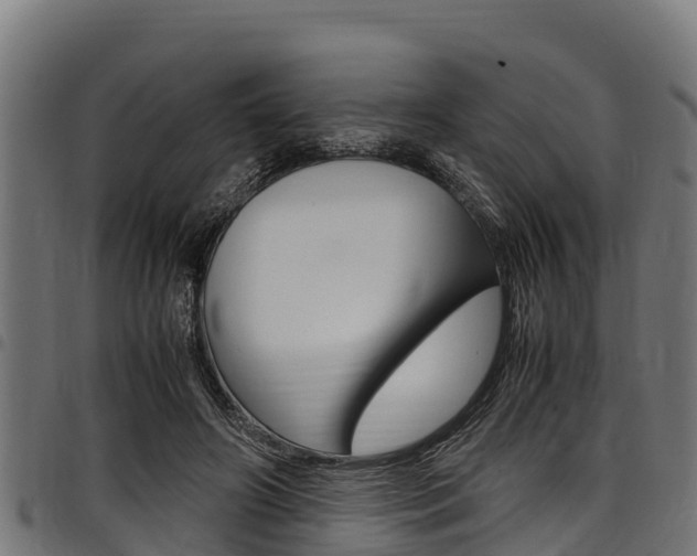 X0000098020498200803280756