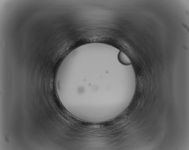 X0000098020499200803280756