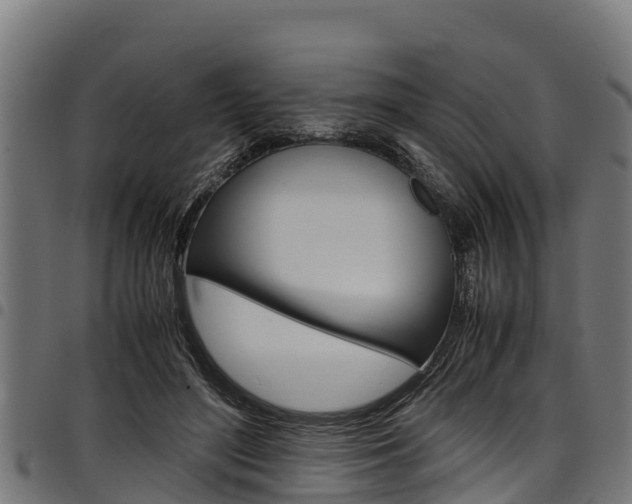 X0000098020500200803280756