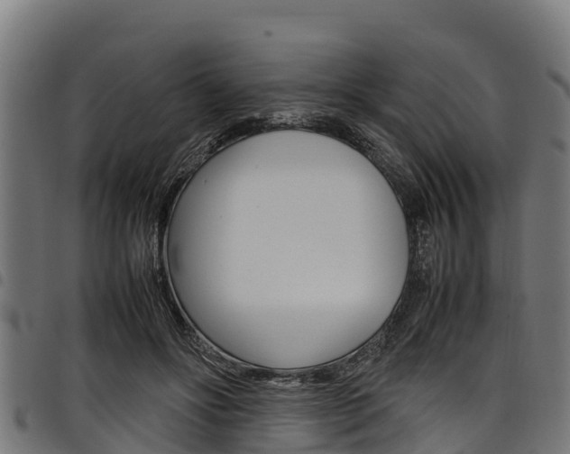 X0000098020502200803280756