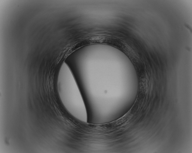 X0000098020504200803280756